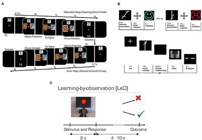 Neural Mechanisms of Observational Learning: A Neural Working Model